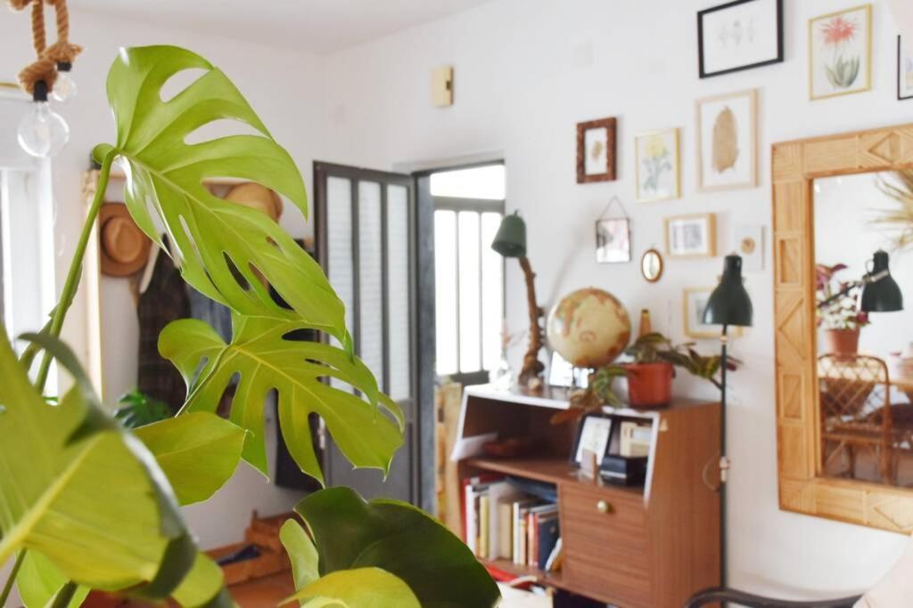 Bamboo House Aljezur 아파트 외부 사진