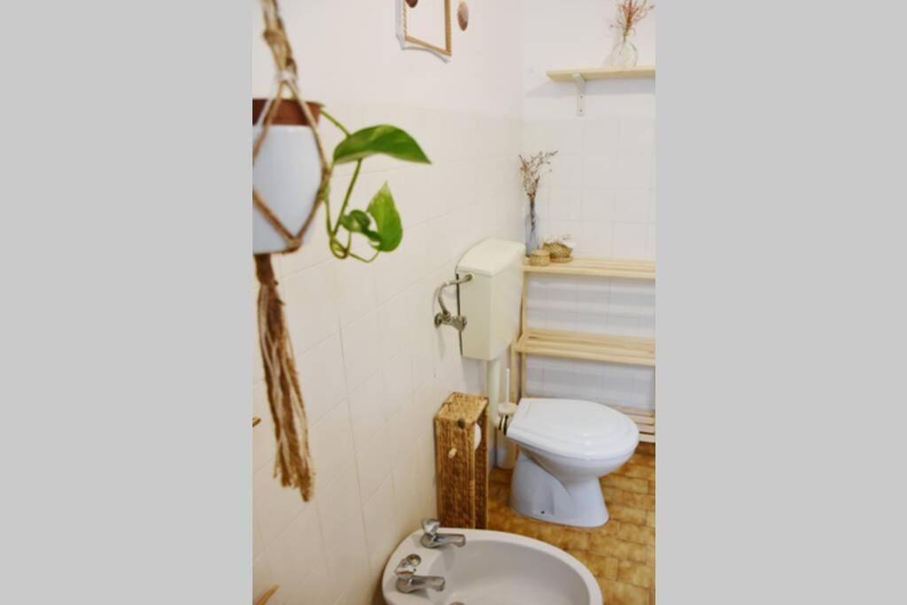 Bamboo House Aljezur 아파트 외부 사진