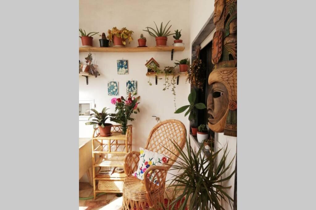 Bamboo House Aljezur 아파트 외부 사진